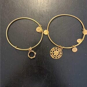 Alex and Ani Gold Charm Bracelets